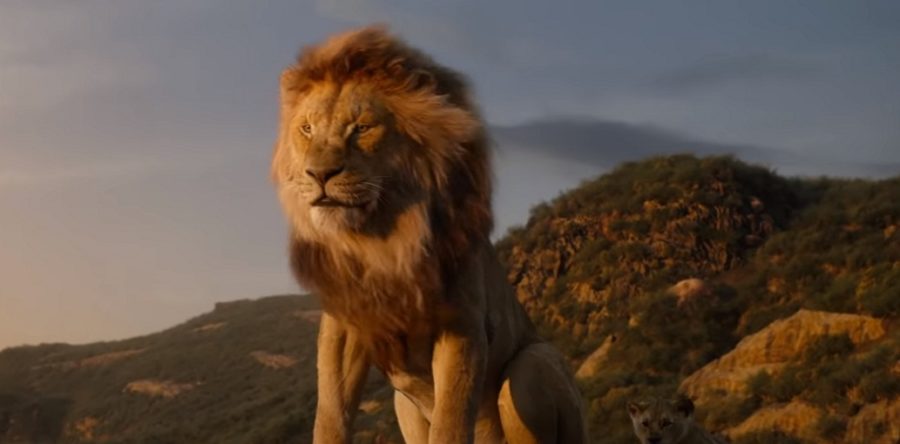 Spéciale Roi Lion