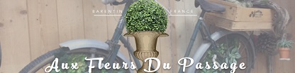 Aux Fleurs du Passage