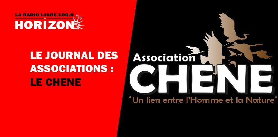 Découverte de la faune avec Le CHENE