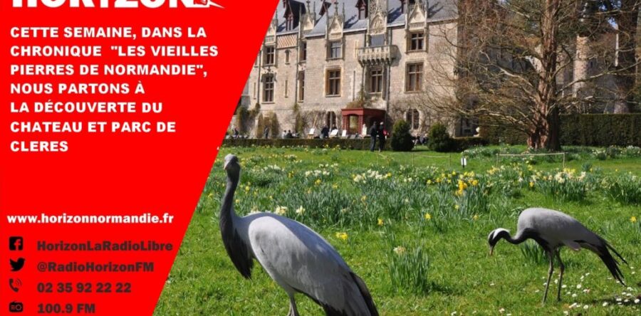 Les vieilles pierres du Château de Clères