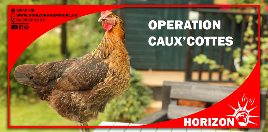 Opération Caux’Cottes 2021
