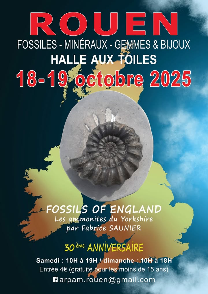 Rouen Fossiles