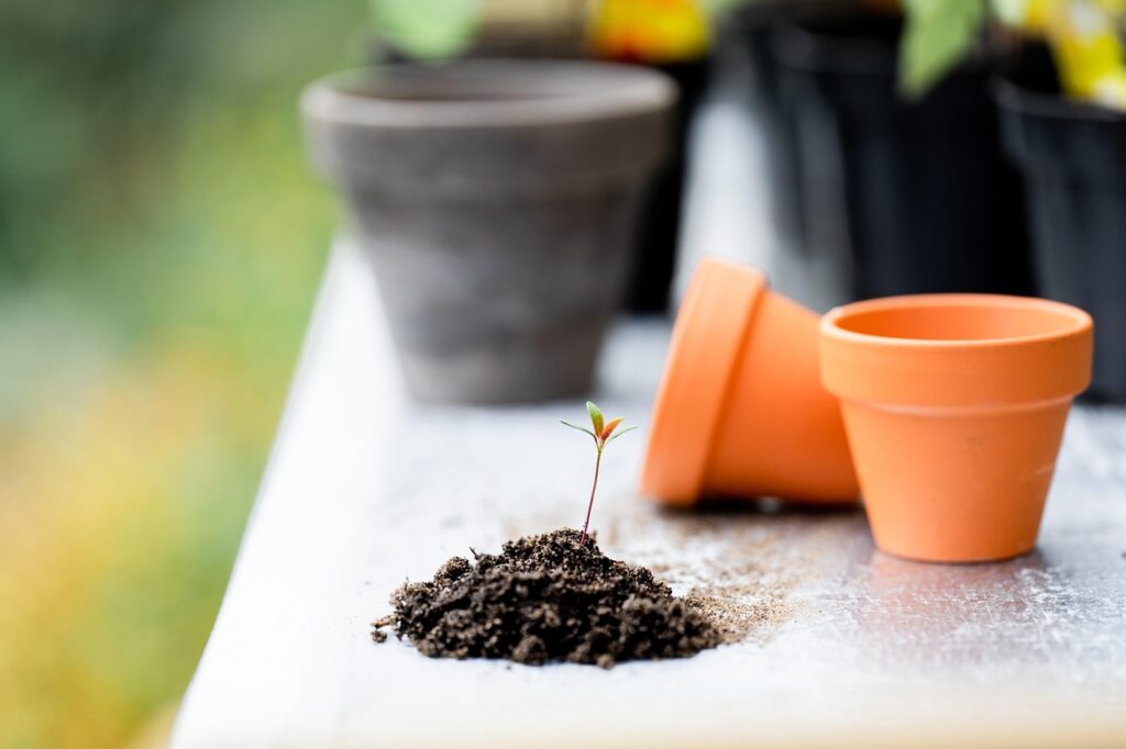 plants, soil, pots, tools, gardening, table, garden, nature, garden work, bloom, casting
