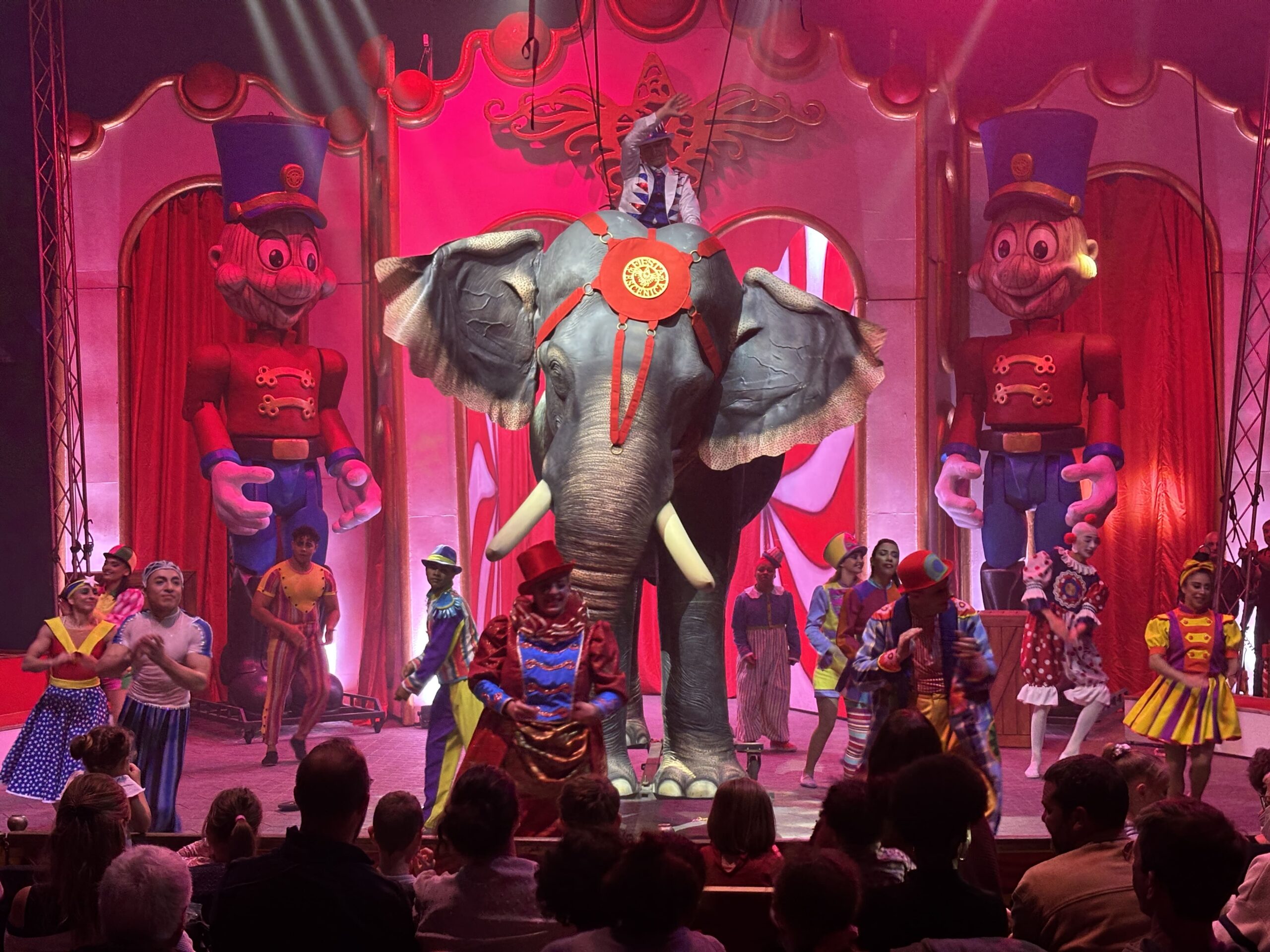 Photo Elephant Rêves de Cirque
