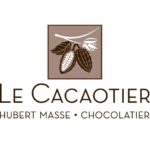 Le Cacaotier