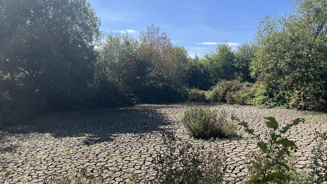 Canicule : victime de la sécheresse, cet étang près de Rouen s’est évaporé pendant l’été