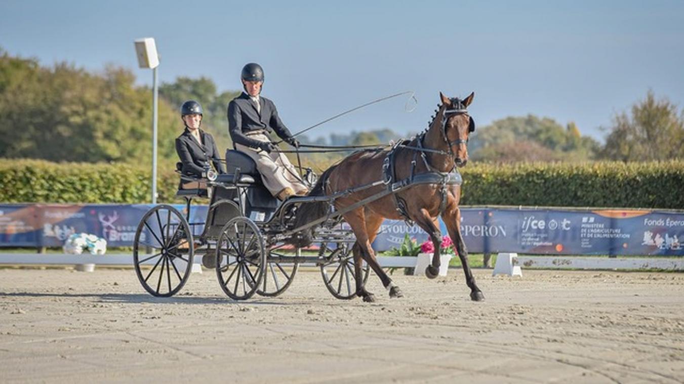 Près d’Yvetot, ce couple de cavaliers est en course pour les Mondiaux d’équitation d’attelage