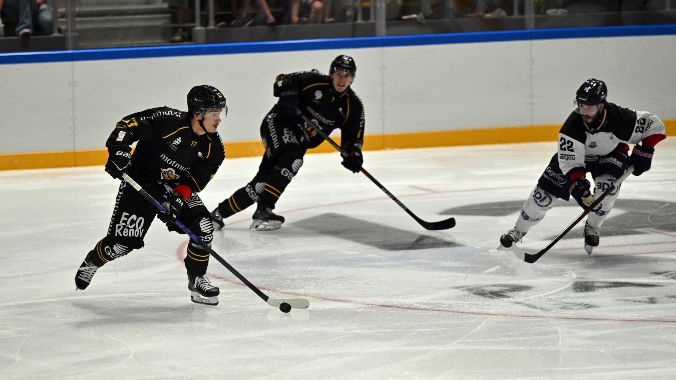 Hockey sur glace – Amical : chez les Dragons de Rouen, les jeunes aussi répondent présents