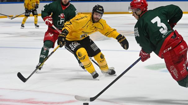 Hockey : après deux ans sans titre ni finale, les Dragons de Rouen veulent remettre la main…