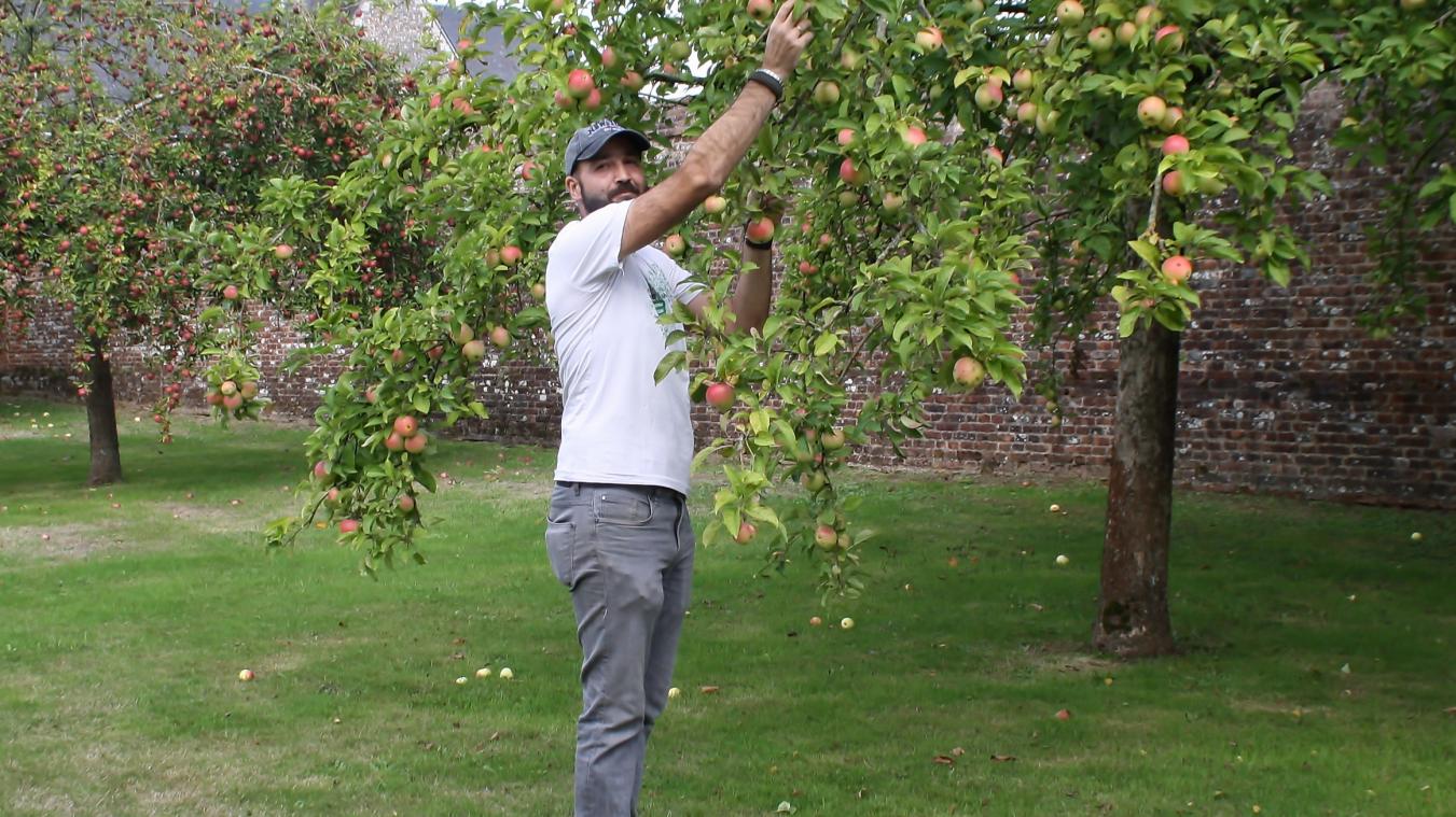 Près de Rouen, le château de Martainville-Épreville fête la pomme… avec un concours de tarte…