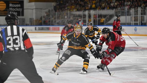 Hockey – Ligue Magnus : les Dragons de Rouen vainqueurs d’Amiens au bout d’une longue, très…