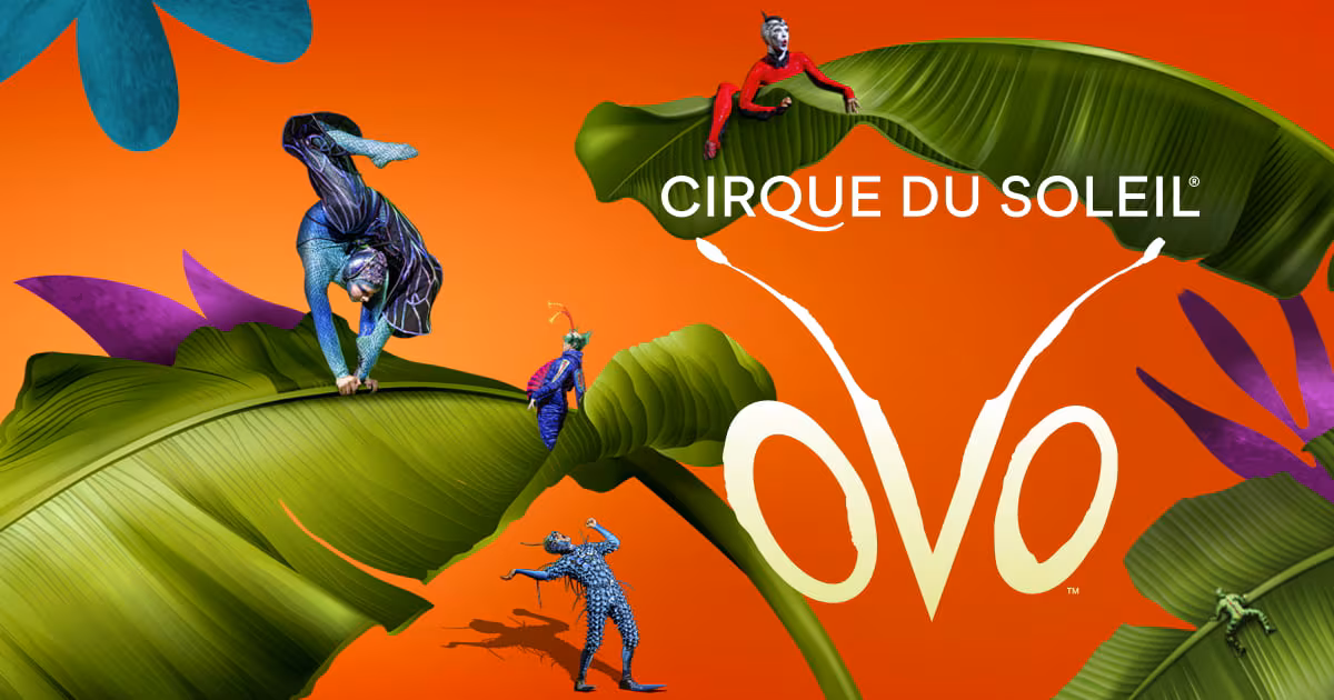 Cirque OVO