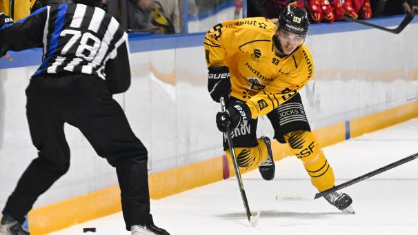 Hockey sur glace – Ligue Magnus : face à Marseille, les Dragons de Rouen veulent rectifier le…