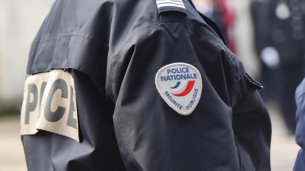 À Canteleu, un homme en garde à vue pour avoir tué le chien de son cousin